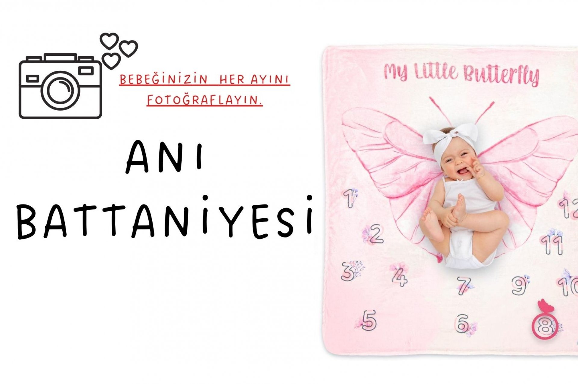 ANI BATTANİYESİ